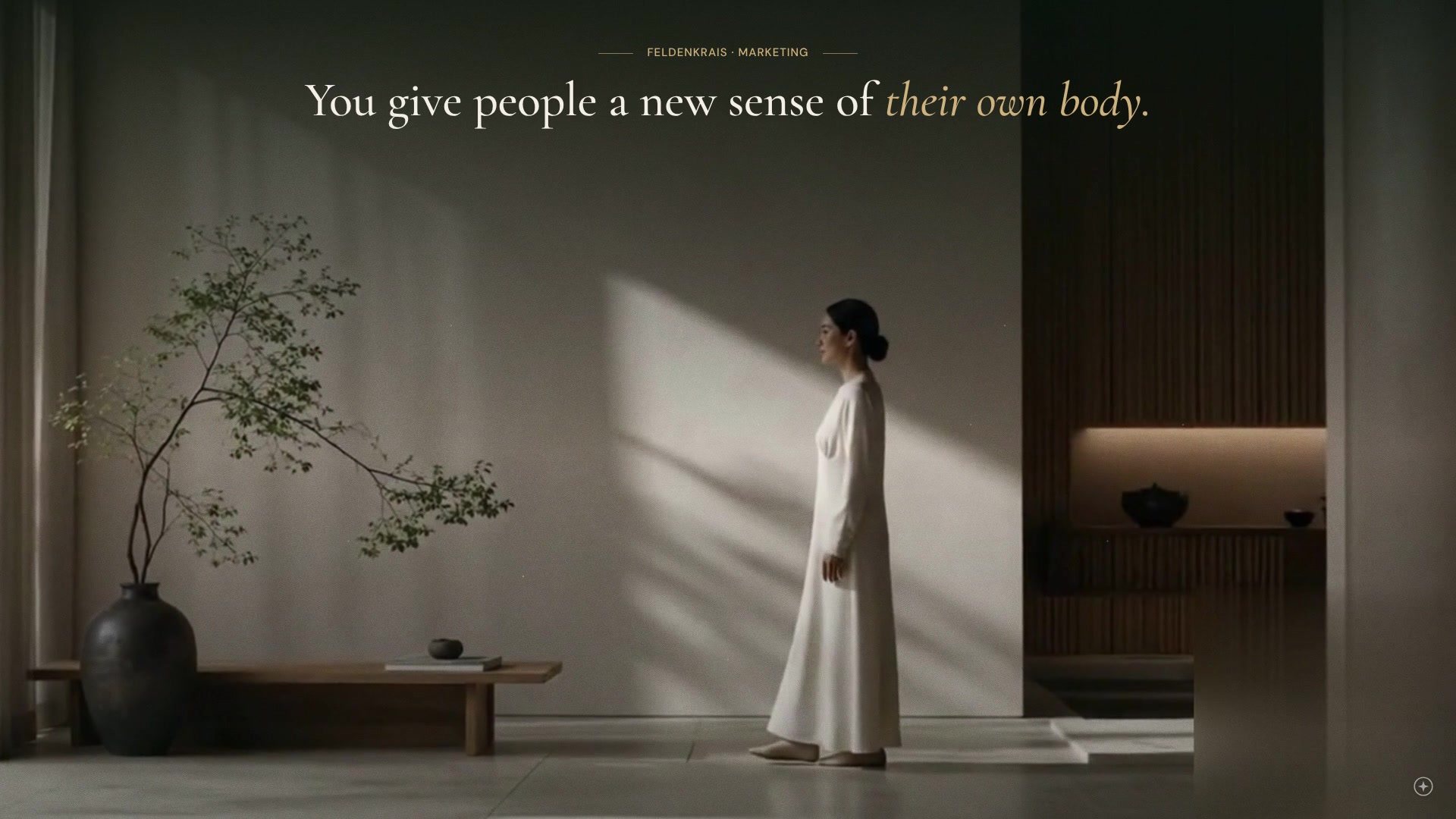 Explainer film: how Feldenkrais practitioners get found with a digital storefront